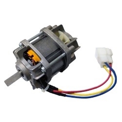 Lawn mower motor